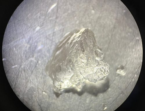 Idrogel in pre-impianto per la sopravvivenza dei giovani vigneti non irrigui